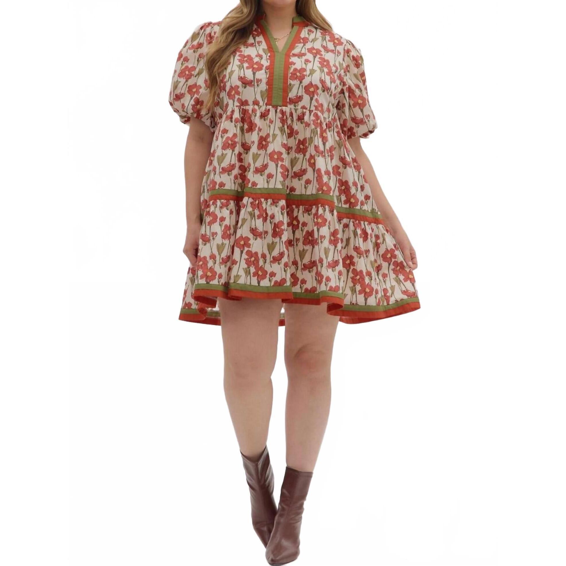 New Entro Harlow Mini Dress - Plus In Rust And Olive